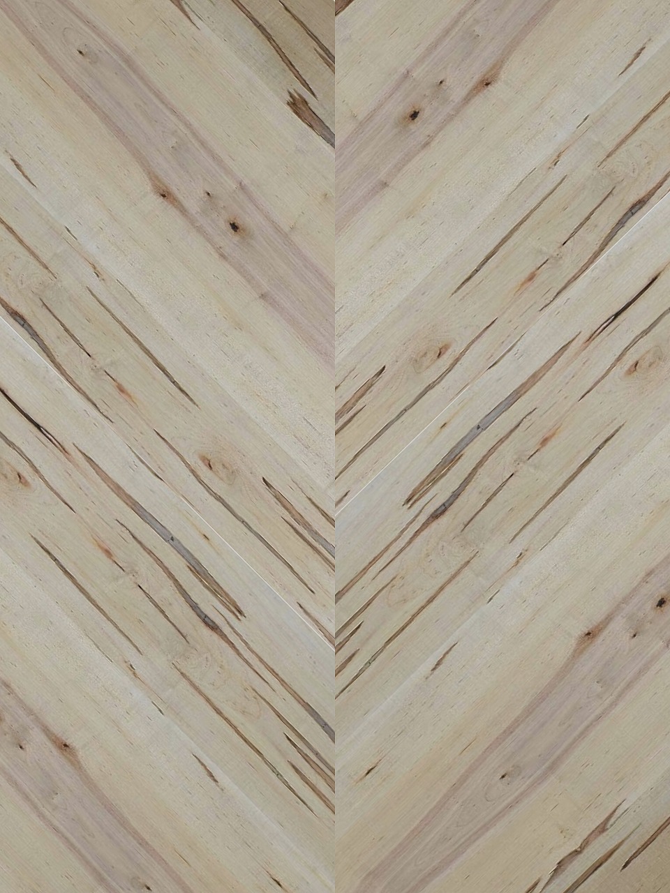 ウォーミーメープル